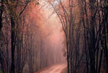 中国女足亚洲杯夺冠是哪一年？